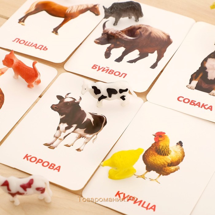Развивающий набор фигурок для детей «Домашние животные» с карточками, по методике Домана