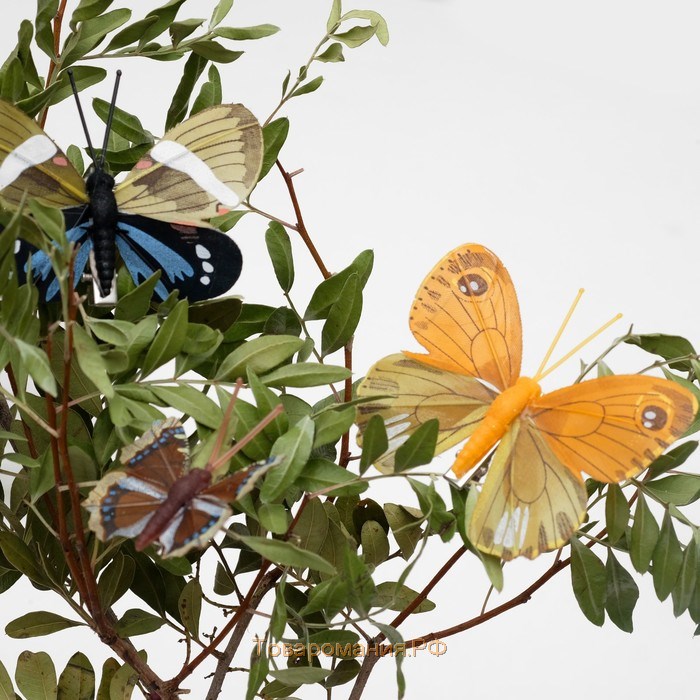 Бабочка для декора и флористики, на прищепке, пластиковая, микс, 1 шт., 4 см и 8 см