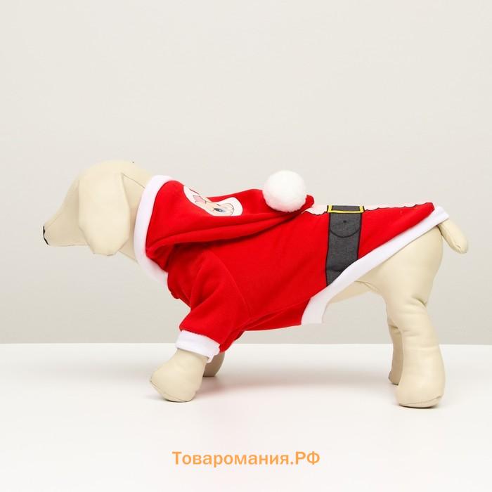 Новый год. Толстовка Santa, XL (ДС 40, ОГ 50 см)