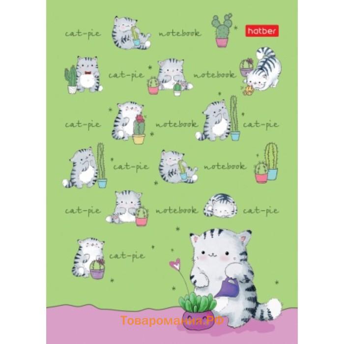 Блокнот А6, 24 листа на скрепке "Приключения кота Пирожка", бумажная обложка, ламинация, МИКС
