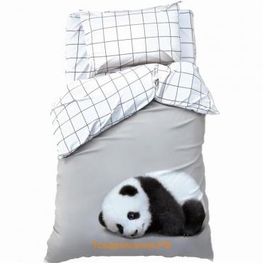 Постельное бельё «» Funny panda, 1.5 сп., 143х215 см., 150х214 см., 50х70 см. - 1 шт., 100% хлопок, бязь